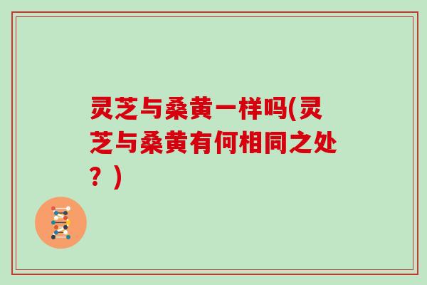 灵芝与桑黄一样吗(灵芝与桑黄有何相同之处？)