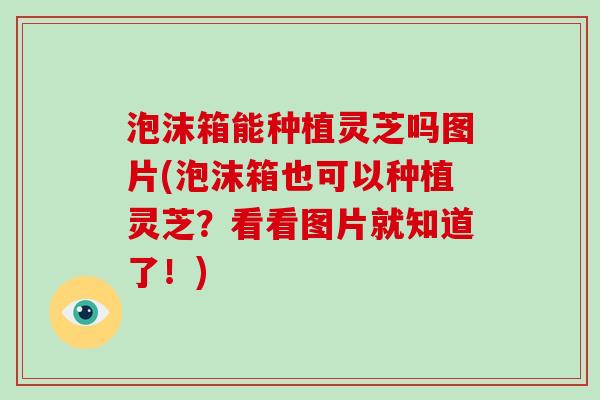 泡沫箱能种植灵芝吗图片(泡沫箱也可以种植灵芝？看看图片就知道了！)-第1张图片-灵芝大师