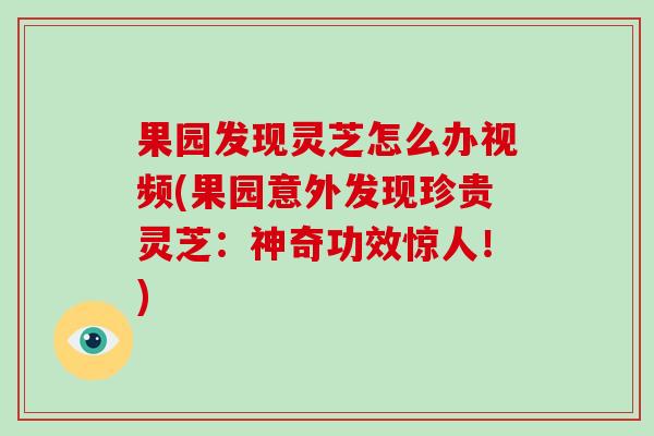 果园发现灵芝怎么办视频(果园意外发现珍贵灵芝：神奇功效惊人！)