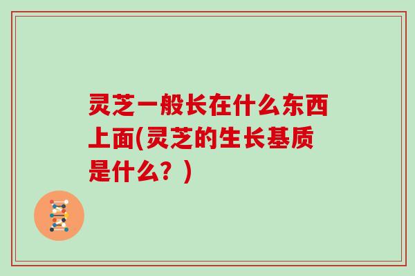 灵芝一般长在什么东西上面(灵芝的生长基质是什么？)