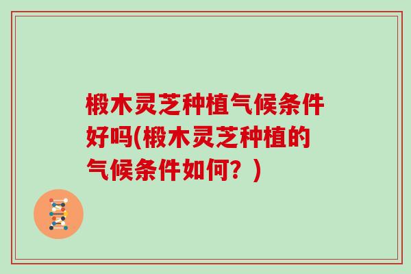 椴木灵芝种植气候条件好吗(椴木灵芝种植的气候条件如何？)