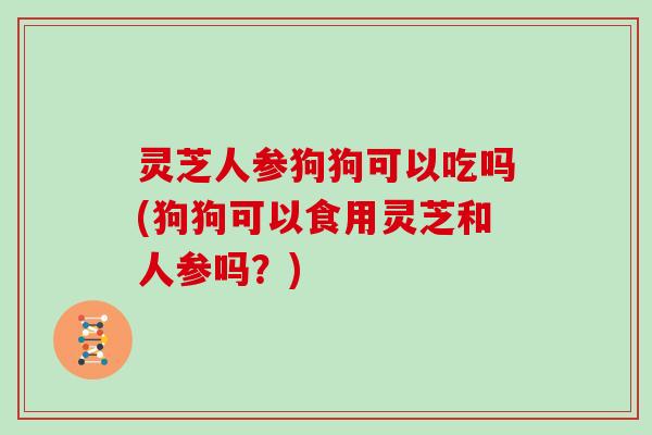 灵芝人参狗狗可以吃吗(狗狗可以食用灵芝和人参吗?)-第1张图片-灵芝大师 灵芝人参狗狗可以吃吗(狗狗可以食用灵芝和人参吗?)-第1张图片-灵芝大师