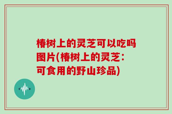 椿树上的灵芝可以吃吗图片(椿树上的灵芝：可食用的野山珍品)