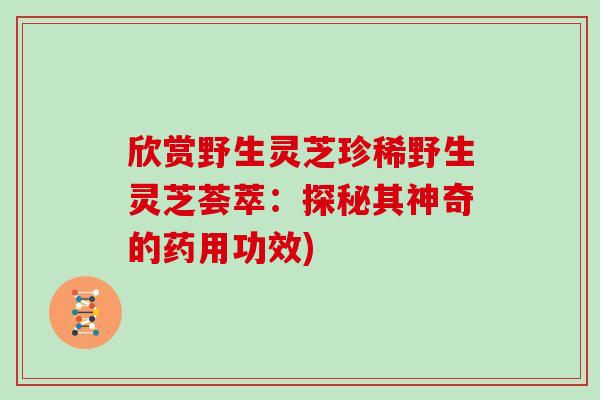 欣赏野生灵芝珍稀野生灵芝荟萃：探秘其神奇的药用功效)