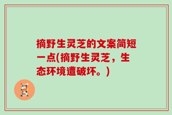 摘野生灵芝的文案简短一点(摘野生灵芝，生态环境遭破坏。)
