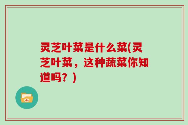 灵芝叶菜是什么菜(灵芝叶菜，这种蔬菜你知道吗？)