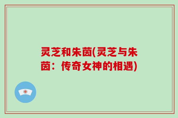 灵芝和朱茵(灵芝与朱茵：传奇女神的相遇)