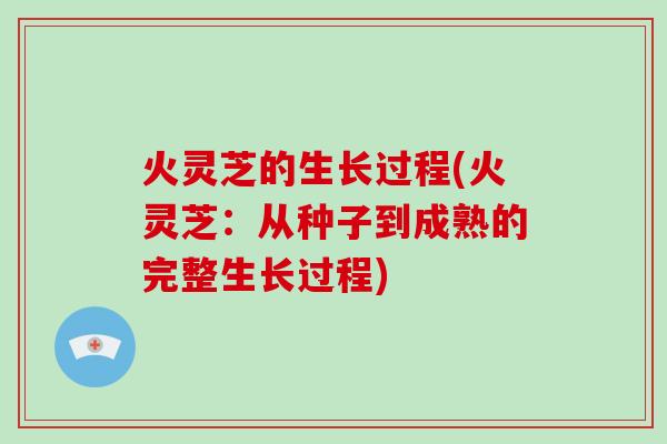 火灵芝的生长过程(火灵芝:从种子到成熟的完整生长过程)-第1张图片-灵芝大师 火灵芝的生长过程(火灵芝:从种子到成熟的完整生长过程)-第1张图片-灵芝大师