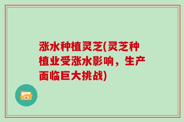 涨水种植灵芝(灵芝种植业受涨水影响,生产面临巨大挑战)-第1张图片-灵芝大师 涨水种植灵芝(灵芝种植业受涨水影响,生产面临巨大挑战)-第1张图片-灵芝大师