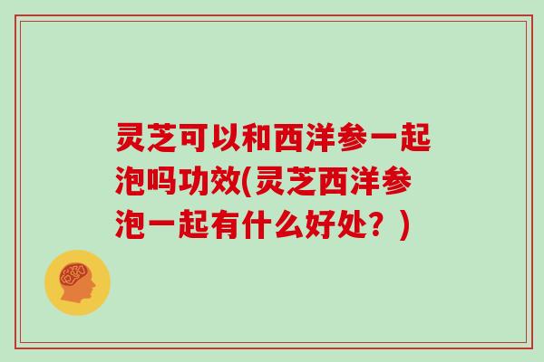 灵芝可以和西洋参一起泡吗功效(灵芝西洋参泡一起有什么好处？)-第1张图片-灵芝大师
