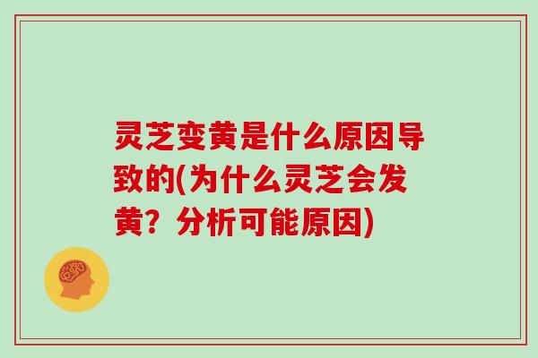 灵芝变黄是什么原因导致的(为什么灵芝会发黄?分析可能原因)-第1张图片-灵芝大师 灵芝变黄是什么原因导致的(为什么灵芝会发黄?分析可能原因)-第1张图片-灵芝大师