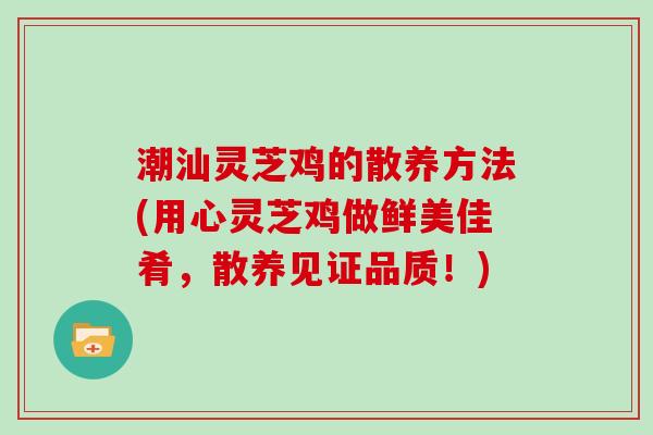 潮汕灵芝鸡的散养方法(用心灵芝鸡做鲜美佳肴，散养见证品质！)