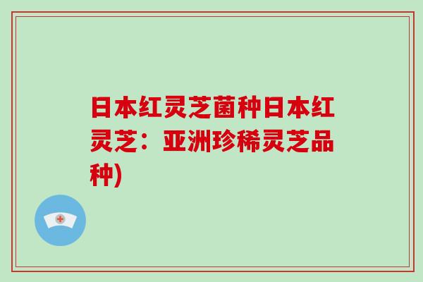 日本红灵芝菌种日本红灵芝：亚洲珍稀灵芝品种)