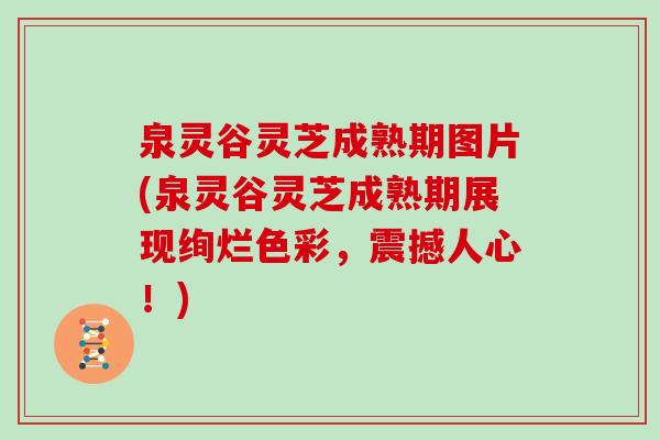 泉灵谷灵芝成熟期图片(泉灵谷灵芝成熟期展现绚烂色彩，震撼人心！)
