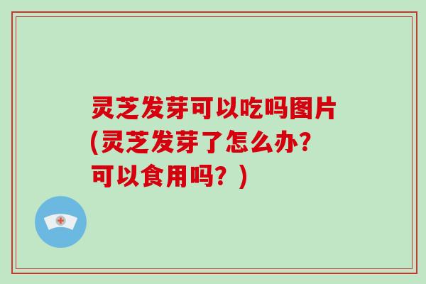 灵芝发芽可以吃吗图片(灵芝发芽了怎么办?可以食用吗?)-第1张图片-灵芝大师 灵芝发芽可以吃吗图片(灵芝发芽了怎么办?可以食用吗?)-第1张图片-灵芝大师