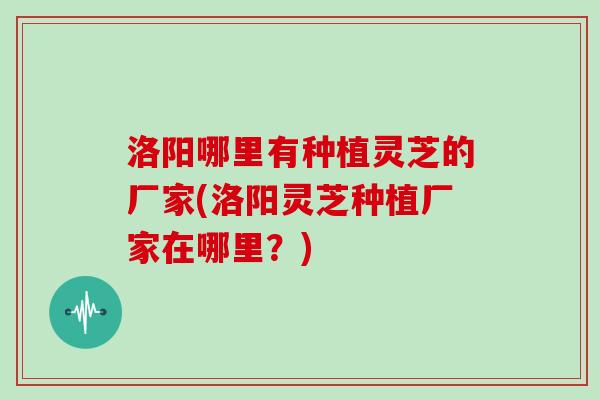 洛阳哪里有种植灵芝的厂家(洛阳灵芝种植厂家在哪里？)