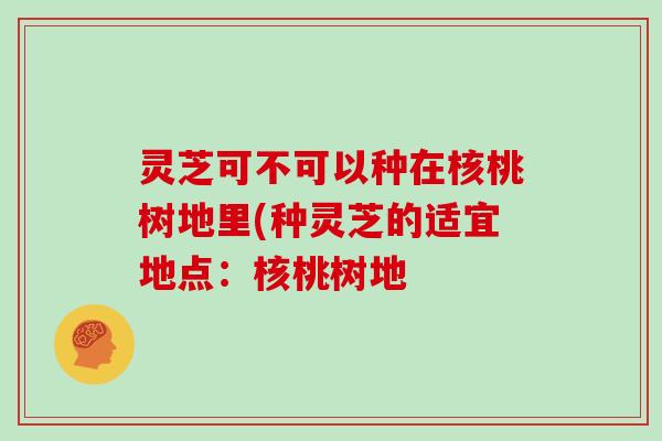 灵芝可不可以种在核桃树地里(种灵芝的适宜地点：核桃树地