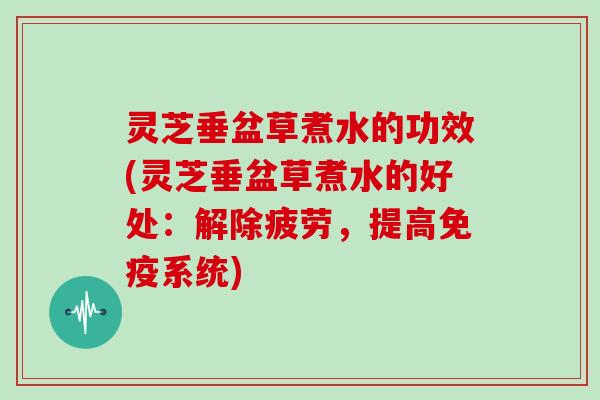 灵芝垂盆草煮水的功效(灵芝垂盆草煮水的好处：解除疲劳，提高免疫系统)-第1张图片-灵芝大师
