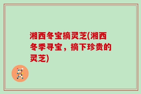 湘西冬宝摘灵芝(湘西冬季寻宝，摘下珍贵的灵芝)