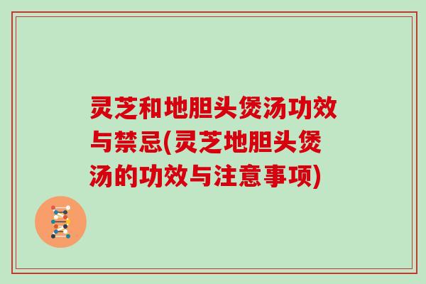 灵芝和地胆头煲汤功效与禁忌(灵芝地胆头煲汤的功效与注意事项)