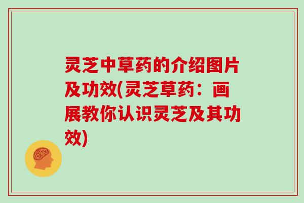 灵芝中草药的介绍图片及功效(灵芝草药：画展教你认识灵芝及其功效)