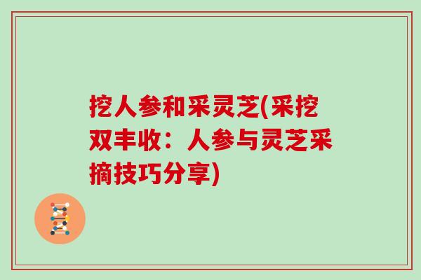 挖人参和采灵芝(采挖双丰收:人参与灵芝采摘技巧分享)-第1张图片-灵芝大师 挖人参和采灵芝(采挖双丰收:人参与灵芝采摘技巧分享)-第1张图片-灵芝大师