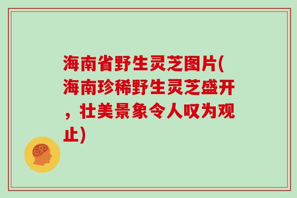 海南省野生灵芝图片(海南珍稀野生灵芝盛开，壮美景象令人叹为观止)