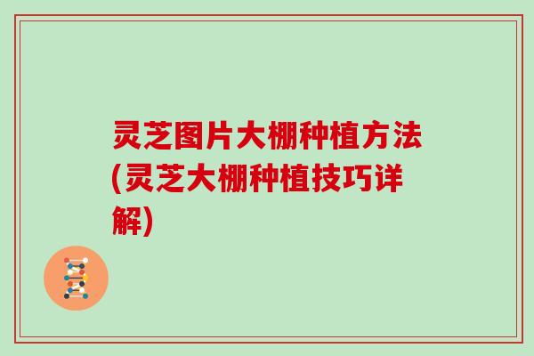 灵芝图片大棚种植方法(灵芝大棚种植技巧详解)