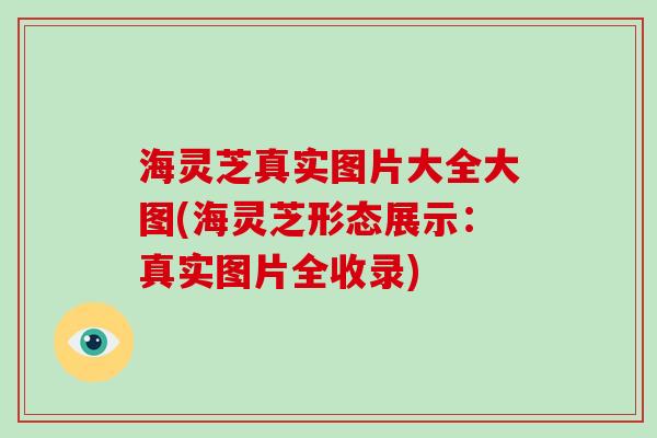 海灵芝真实图片大全大图(海灵芝形态展示：真实图片全收录)