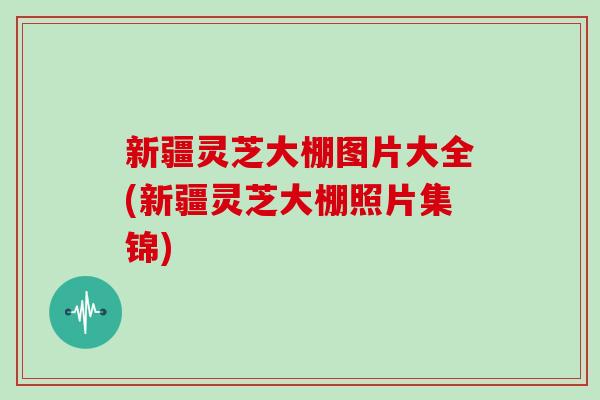 新疆灵芝大棚图片大全(新疆灵芝大棚照片集锦)