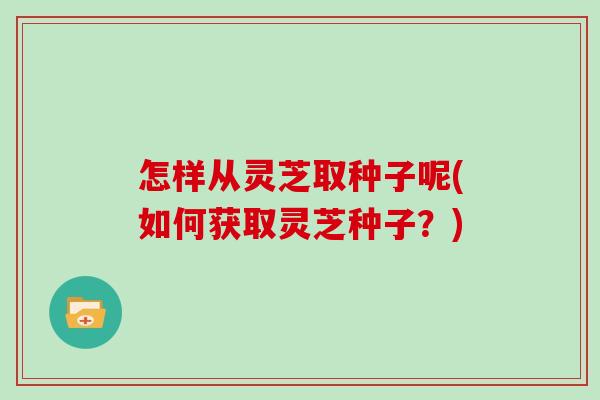 怎样从灵芝取种子呢(如何获取灵芝种子?)-第1张图片-灵芝大师 怎样从灵芝取种子呢(如何获取灵芝种子?)-第1张图片-灵芝大师