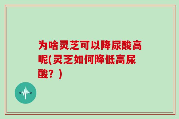 为啥灵芝可以降尿酸高呢(灵芝如何降低高尿酸？)