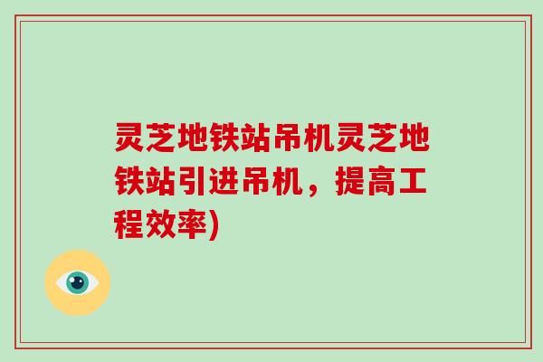 灵芝地铁站吊机灵芝地铁站引进吊机，提高工程效率)