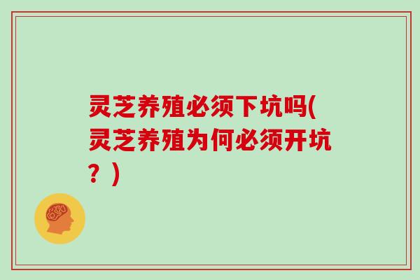 灵芝养殖必须下坑吗(灵芝养殖为何必须开坑？)