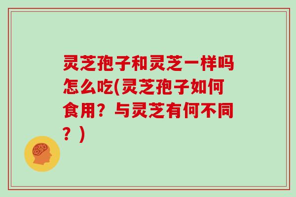 灵芝孢子和灵芝一样吗怎么吃(灵芝孢子如何食用？与灵芝有何不同？)
