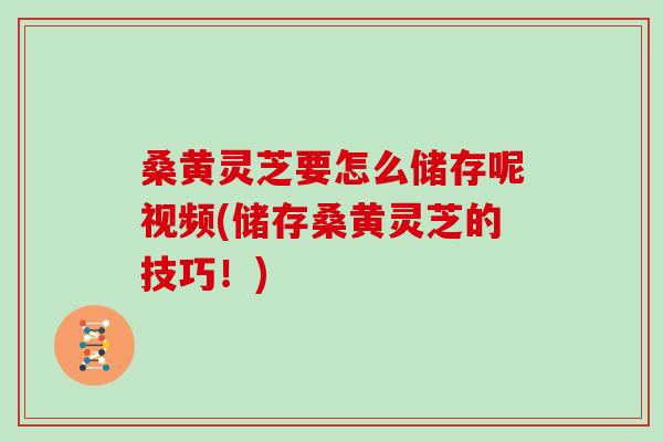 桑黄灵芝要怎么储存呢视频(储存桑黄灵芝的技巧！)