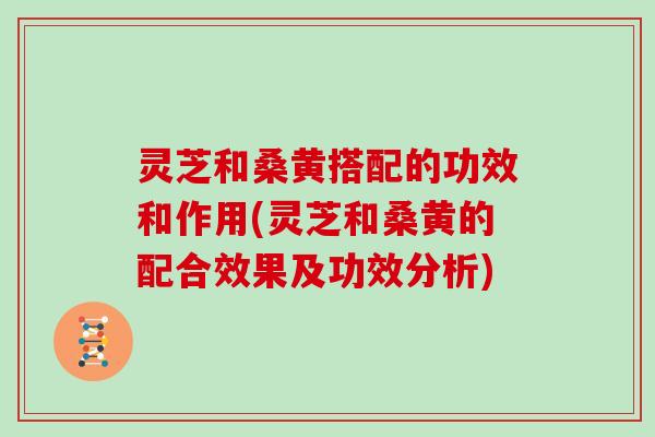 灵芝和桑黄搭配的功效和作用(灵芝和桑黄的配合效果及功效分析)