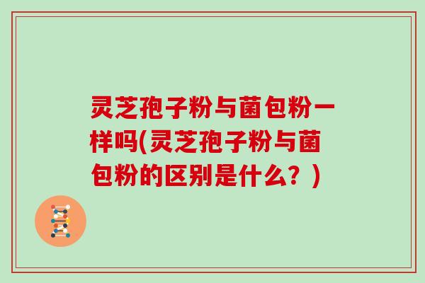 灵芝孢子粉与菌包粉一样吗(灵芝孢子粉与菌包粉的区别是什么?)-第1张图片-灵芝大师 灵芝孢子粉与菌包粉一样吗(灵芝孢子粉与菌包粉的区别是什么?)-第1张图片-灵芝大师