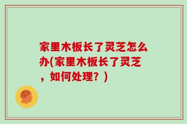 家里木板长了灵芝怎么办(家里木板长了灵芝，如何处理？)