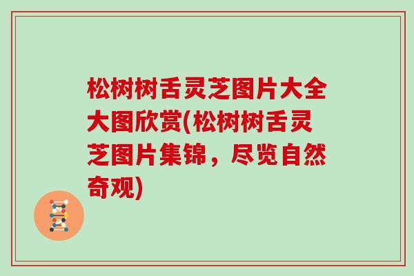 松树树舌灵芝图片大全大图欣赏(松树树舌灵芝图片集锦，尽览自然奇观)