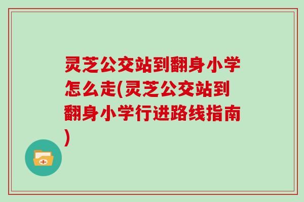 灵芝公交站到翻身小学怎么走(灵芝公交站到翻身小学行进路线指南)-第1张图片-灵芝大师 灵芝公交站到翻身小学怎么走(灵芝公交站到翻身小学行进路线指南)-第1张图片-灵芝大师