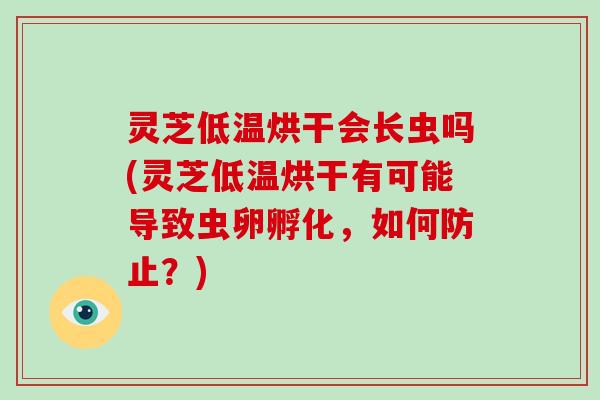 灵芝低温烘干会长虫吗(灵芝低温烘干有可能导致虫卵孵化,如何防止?)-第1张图片-灵芝大师 灵芝低温烘干会长虫吗(灵芝低温烘干有可能导致虫卵孵化,如何防止?)-第1张图片-灵芝大师