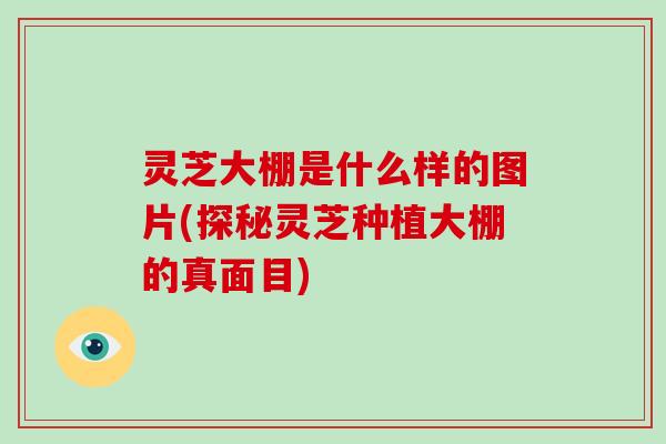 灵芝大棚是什么样的图片(探秘灵芝种植大棚的真面目)