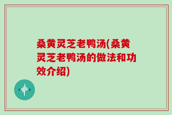 桑黄灵芝老鸭汤(桑黄灵芝老鸭汤的做法和功效介绍)