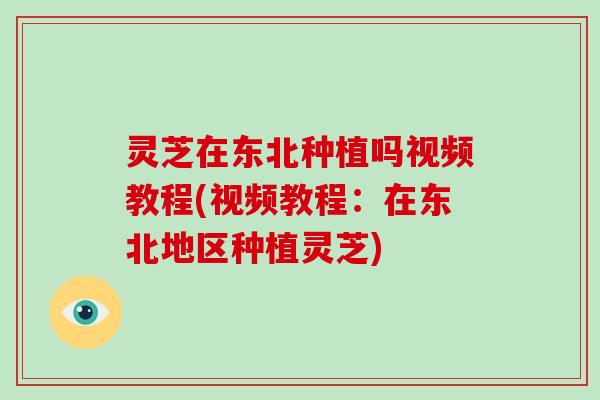 灵芝在东北种植吗视频教程(视频教程：在东北地区种植灵芝)