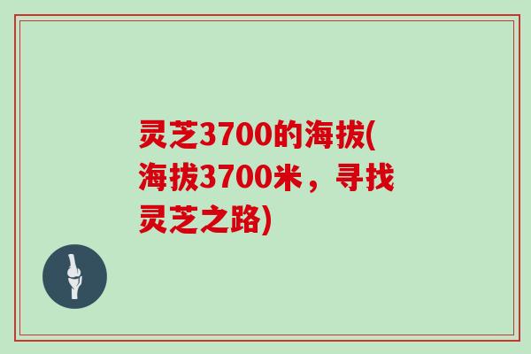 灵芝3700的海拔(海拔3700米，寻找灵芝之路)