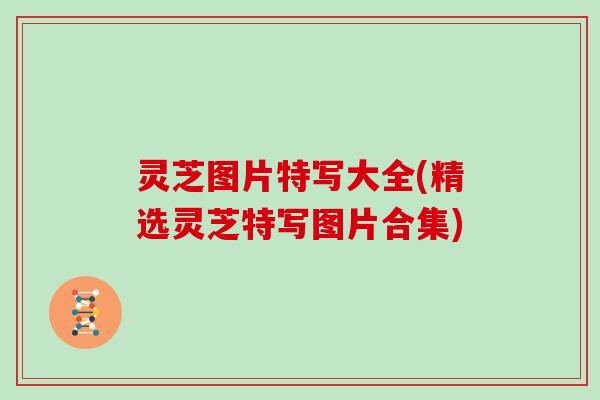 灵芝图片特写大全(精选灵芝特写图片合集)