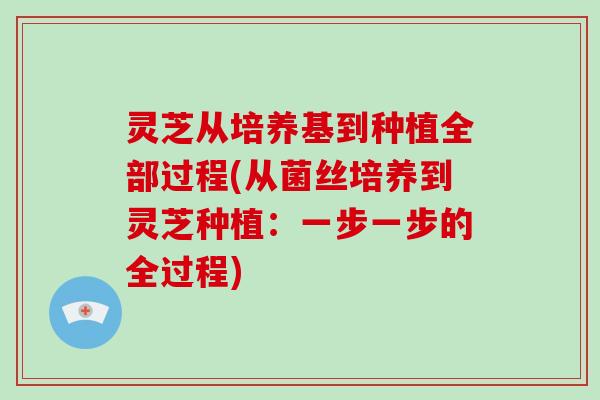 灵芝从培养基到种植全部过程(从菌丝培养到灵芝种植:一步一步的全过程)-第1张图片-灵芝大师 灵芝从培养基到种植全部过程(从菌丝培养到灵芝种植:一步一步的全过程)-第1张图片-灵芝大师