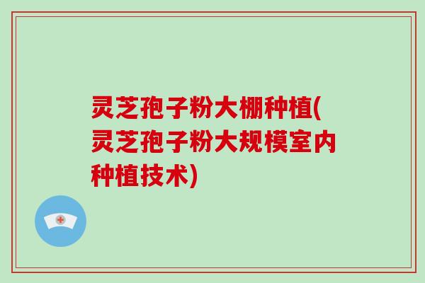 灵芝孢子粉大棚种植(灵芝孢子粉大规模室内种植技术)