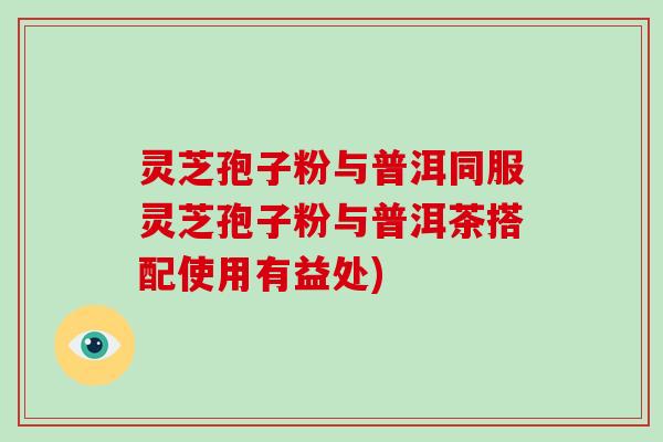 灵芝孢子粉与普洱同服灵芝孢子粉与普洱茶搭配使用有益处)